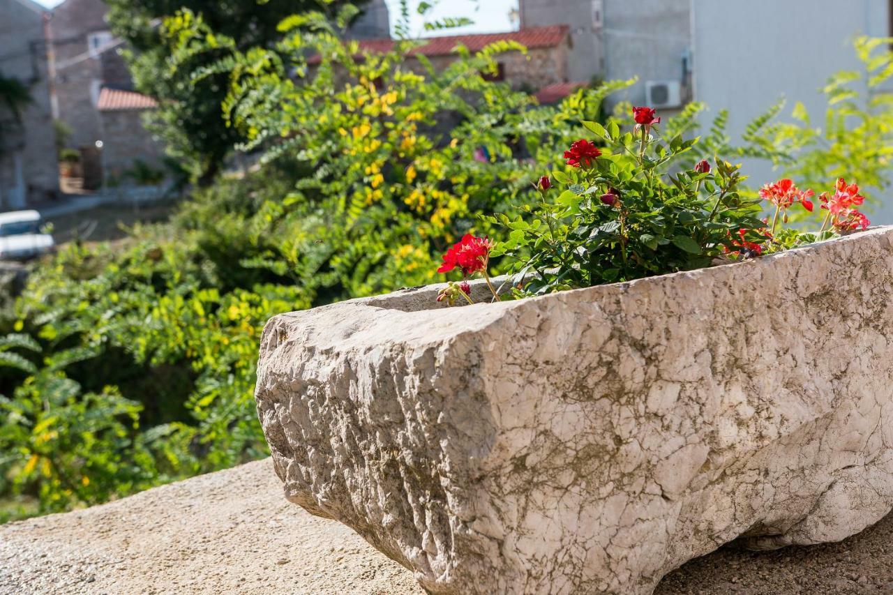 Apartmani Muzic Orlec Zewnętrze zdjęcie